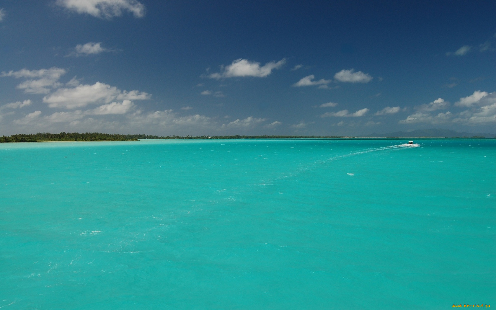 polynesia, , , 